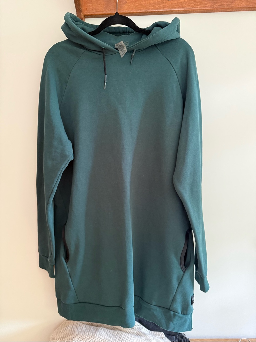 Long Sleeve Hooded Dress in Teal